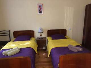 Гостевой дом La Deka GuestHouse Лагодехи Двухместный номер с 2 отдельными кроватями и ванной комнатой-2